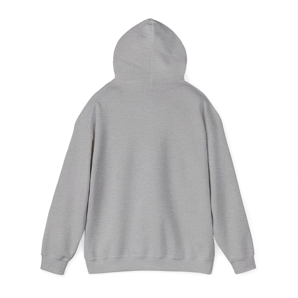 Crystal Lover Hoodie — "I Have a Crystal for That" Spiritual Gift Hoodie