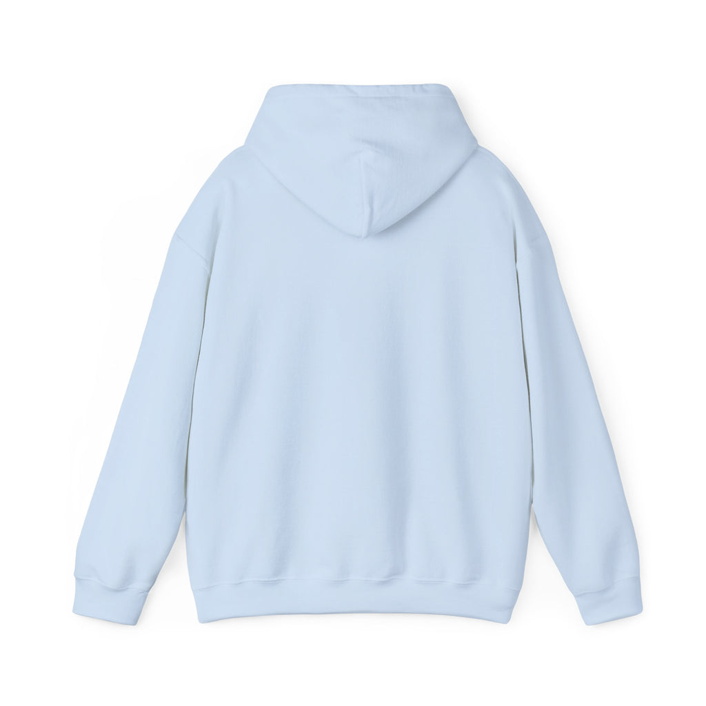 Crystal Lover Hoodie — "I Have a Crystal for That" Spiritual Gift Hoodie