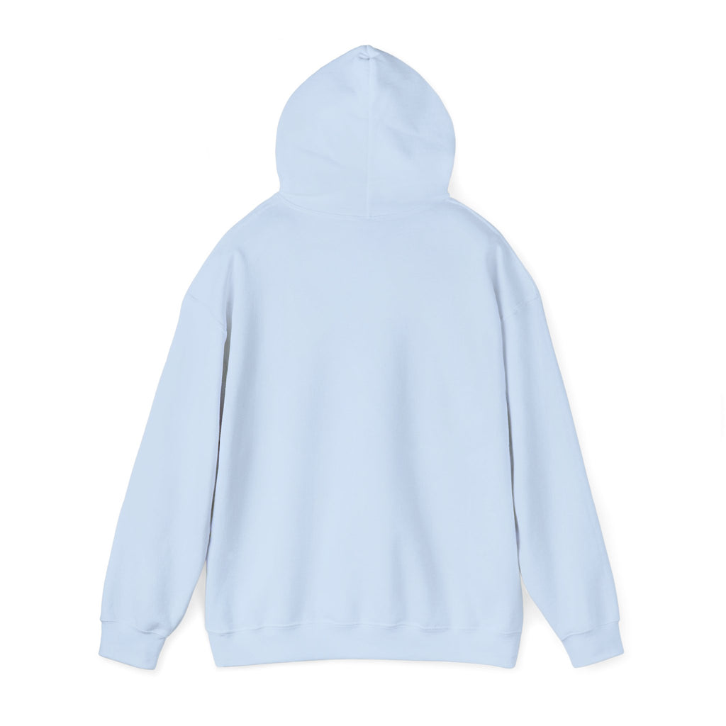 Crystal Lover Hoodie — "I Have a Crystal for That" Spiritual Gift Hoodie