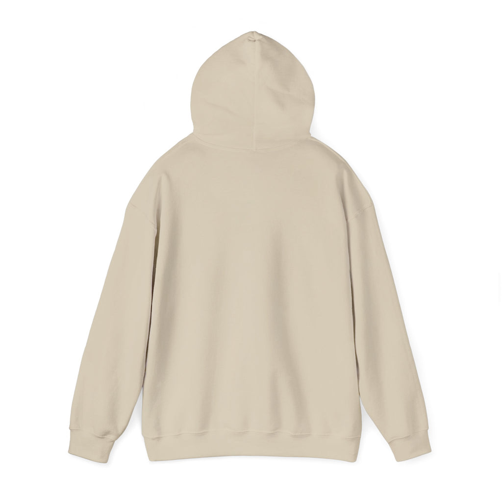 Crystal Lover Hoodie — "I Have a Crystal for That" Spiritual Gift Hoodie